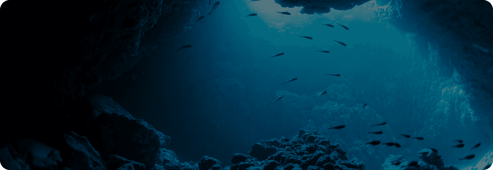 Ocean Background